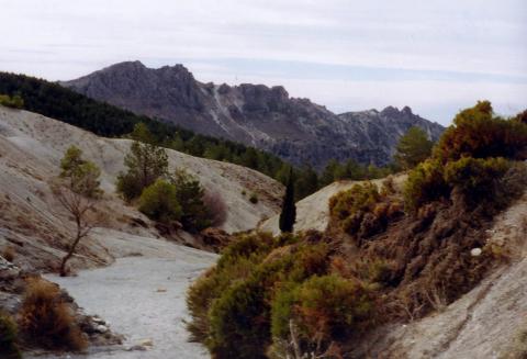 image Vereda de los Alayos, Granada