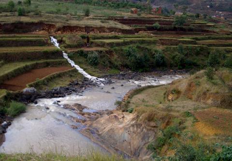 image Arroyo en Madagascar