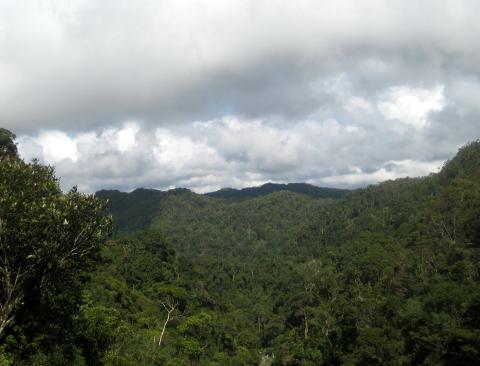 image Vista general del Parque Nacional de Ranomafana