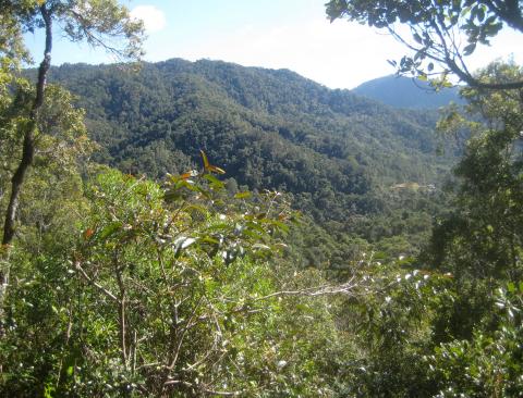 image Parque nacional de Ranomafana