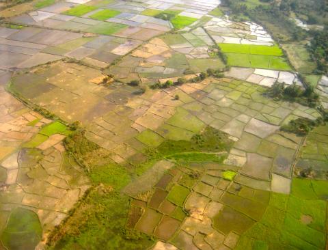 image Campos de cultivo en Morondava. Vista aérea