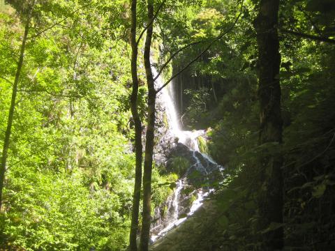 image Ruta de la cascada Seimeira en Santa Eulalia de Oscos