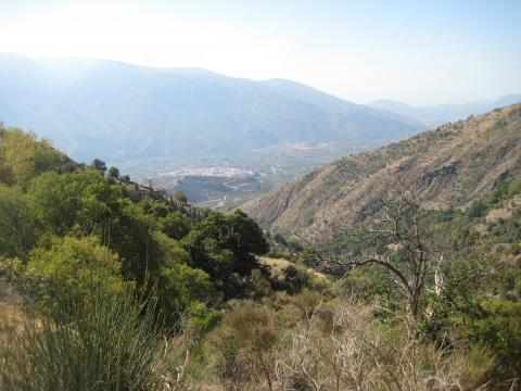 image Paisaje de la Alpujarra