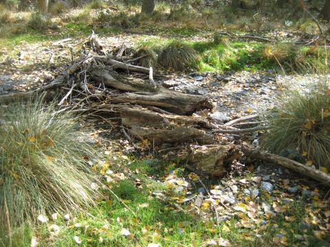 image Naturaleza de las Alpujarras