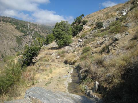 image Paisaje de las Alpujarras