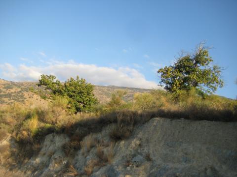 image Las Alpujarras