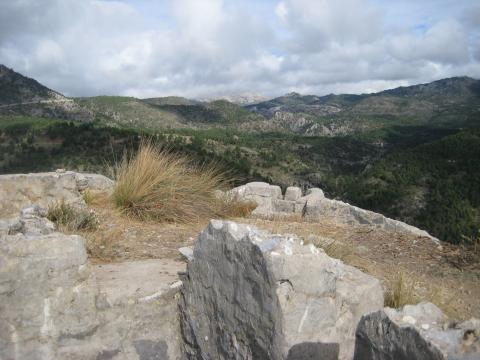 image Bosque mediterráneo de montaña
