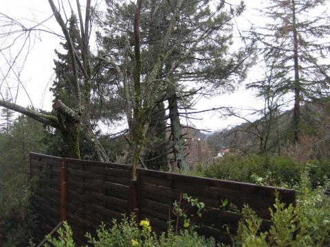 image Valla y naturaleza de Sierra de Cazorla