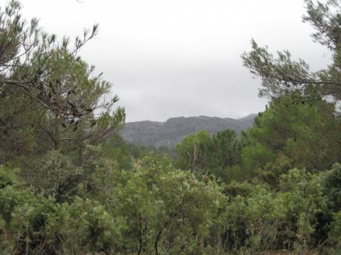 image Sierra de Cazorla