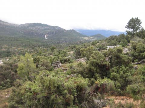 image Sierra de Cazorla