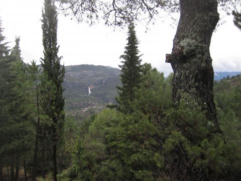 image Sierra de Cazorla
