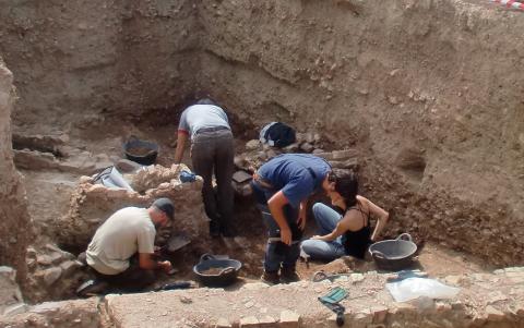 image Excavaciones en Medina Elvira (Granada)