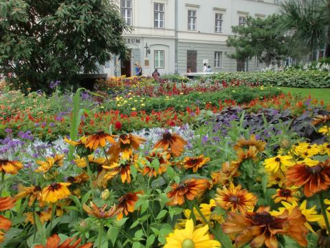 image Flores, Budapest (Hungría)