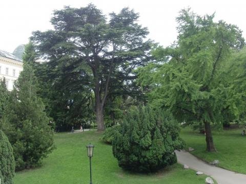image Parque Burggarten, Viena (Austria)