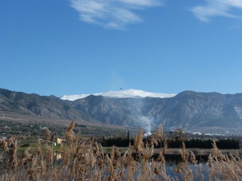 image La laguna del Padul y Sierra Nevada