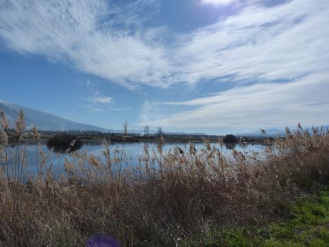 image Laguna de Padul