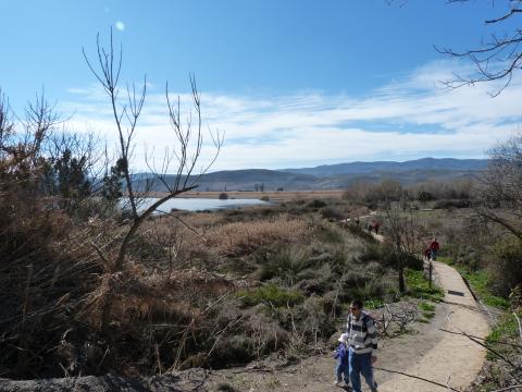 image Laguna de Padul