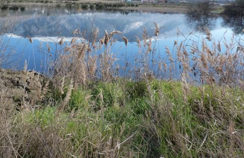 image Laguna de Padul