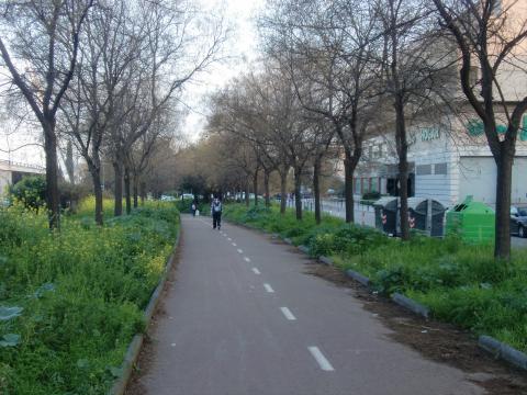 image Vía ciclista