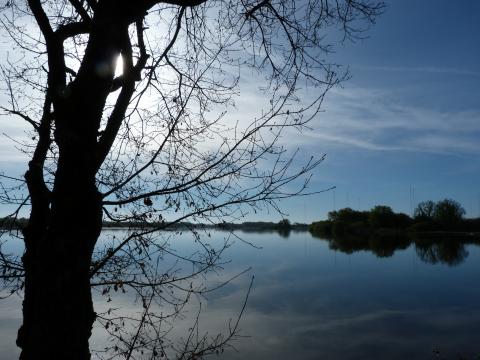 image Parque natural regional de Brenne