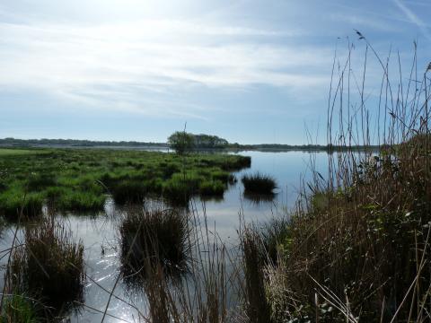 image Parque natural regional de Brenne