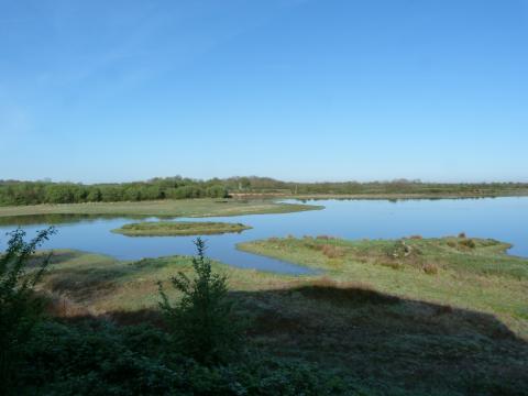 image Lagunas del parque natural regional de Brenne