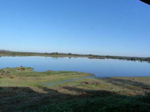image Laguna del parque natural regional de Brenne