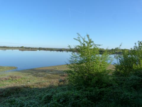 image Laguna parque natural regional de Brenne