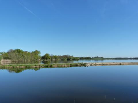 image Parque natural regional de Brenne