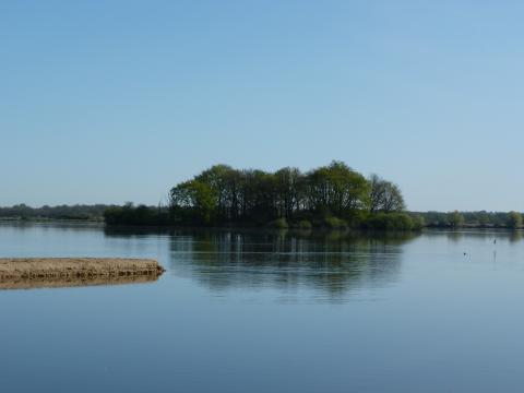 image Parque natural regional de Brenne