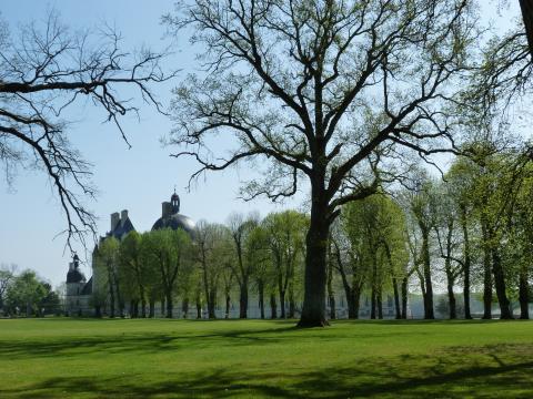 image Castillo de Valençay