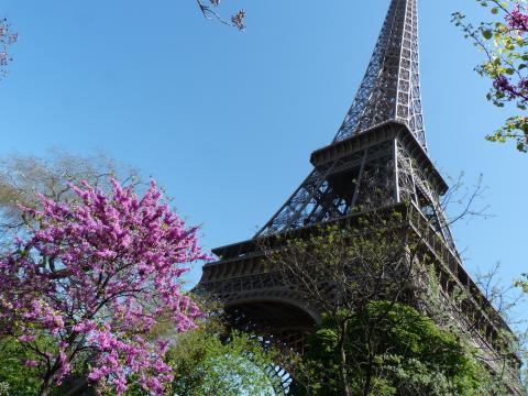 image Torre Eiffel