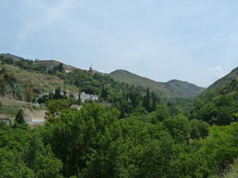 image Vegetación de Granada