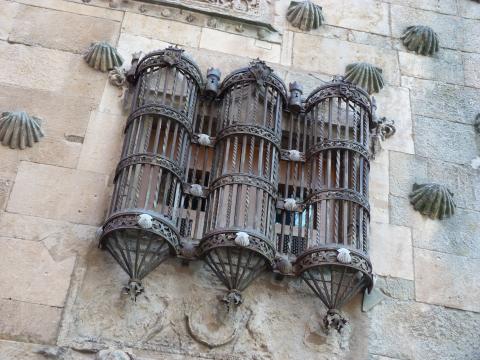 image La casa de las conchas de Salamanca