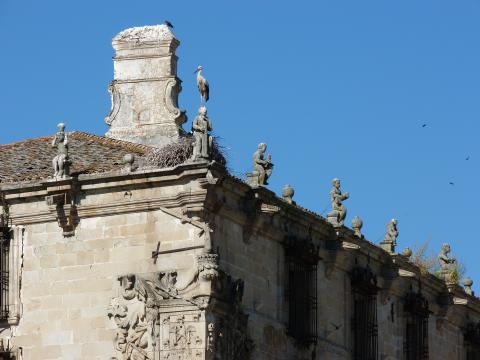 image Palacio de los Marqueses de la Conquista