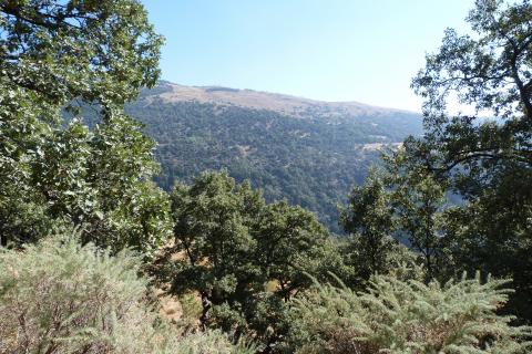 Sierra de la Alpujarra