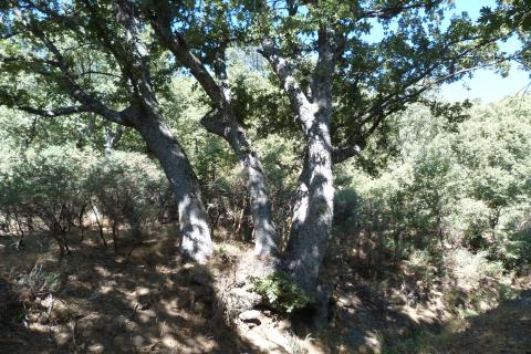 Sierra de la Alpujarra