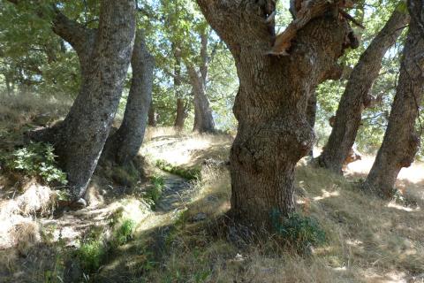 Sierra de la Alpujarra