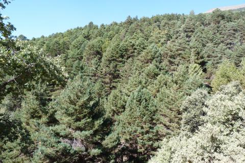 Sierra de la Alpujarra