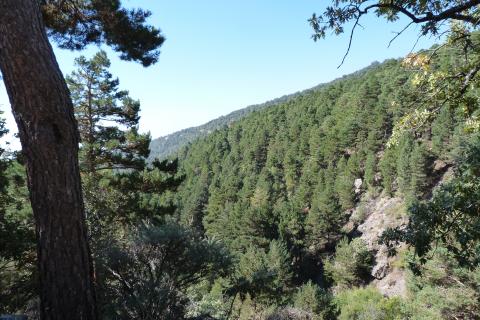 Sierra de la Alpujarra