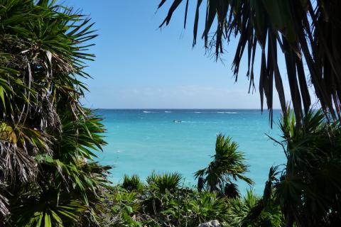 image Mar Caribe, Tulum