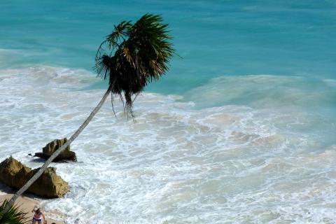 image Playa del Mar Caribe