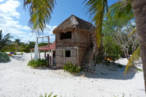 image Bar del Mar Caribe