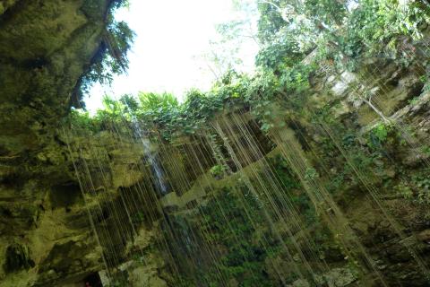 image Cenote 