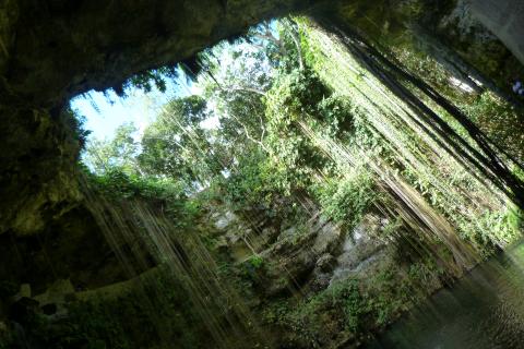 image Cenote