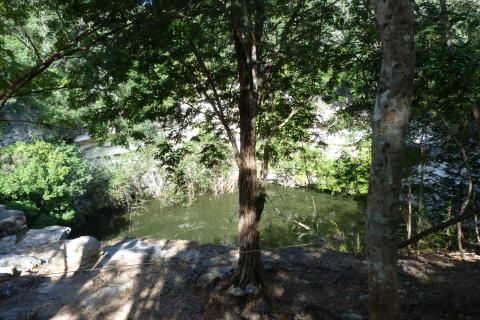 Cenote Sagrado