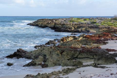 image Playa de Akumal