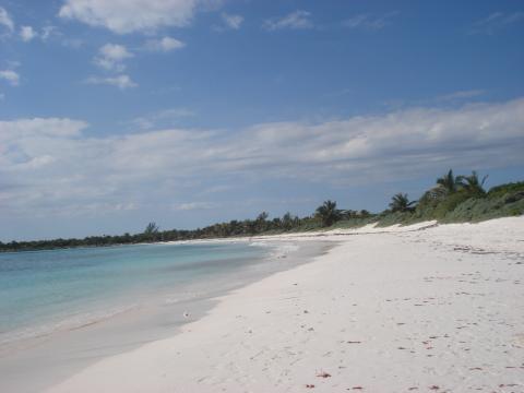 image Playa de Akumal