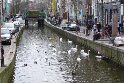 image Ámsterdam