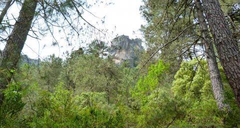 Parque natural de las Sierras de Cazorla, Segura y Las Villas